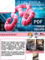 virusdelbola-140916005554-phpapnnp02