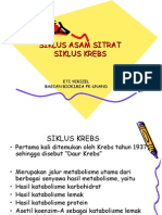 Siklus Asam Sitrat