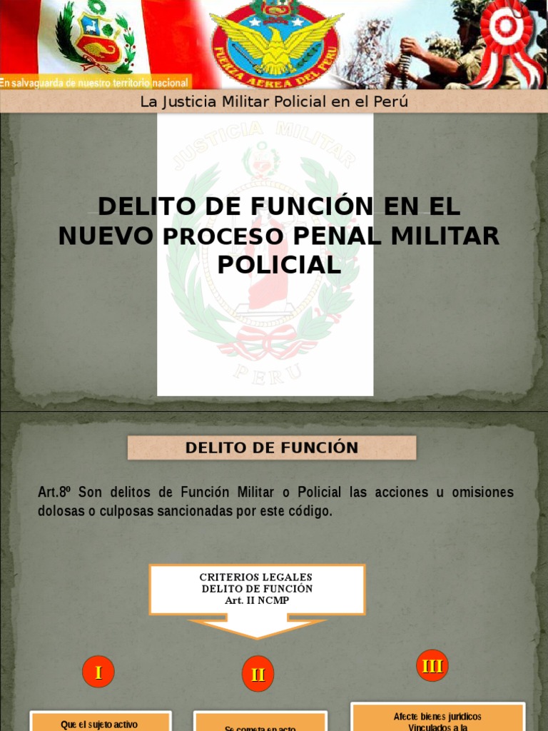 Delito de Función en Proceso Penal Militar | PDF | Policía | Delito