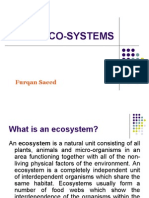 Eco System