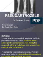 Pseudartrozele