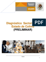 Colima Diagnostico Prelim Mzo2011