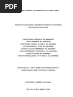 ATPS Emerson etapa 1 e 2.doc