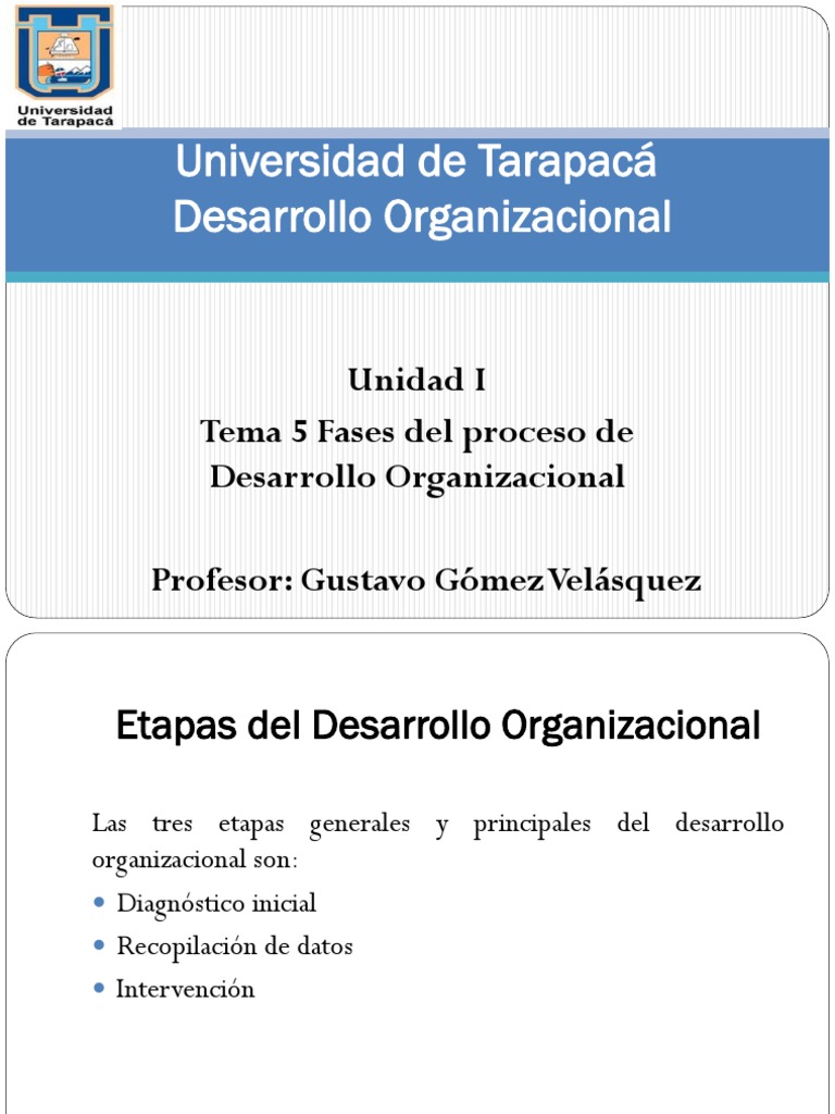 Fases del Desarrollo Organizacional | PDF | Desarrollo organizacional ...