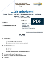 Exposé D'audit Opérationnel