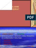 MS K13-16 - Metabolism Carbohydrate