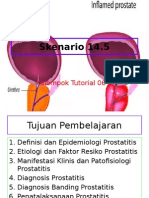 231982691 Prostatitis