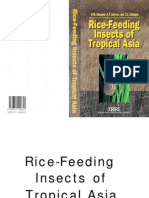 Rice-Feeding Insects of Tropical Asia