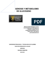 glucogenosisoglucogenopatiasestudiantesuptc2011-110328133222-phpapp02
