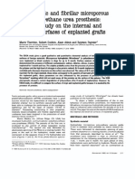 Hydrophobic and Fibrillar Microporous PDF