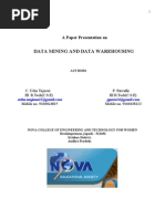 Download Data Mining and Data Warehousing by ushasanjana SN26046503 doc pdf