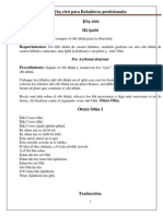 Ebbo Riru para Profesionales PDF