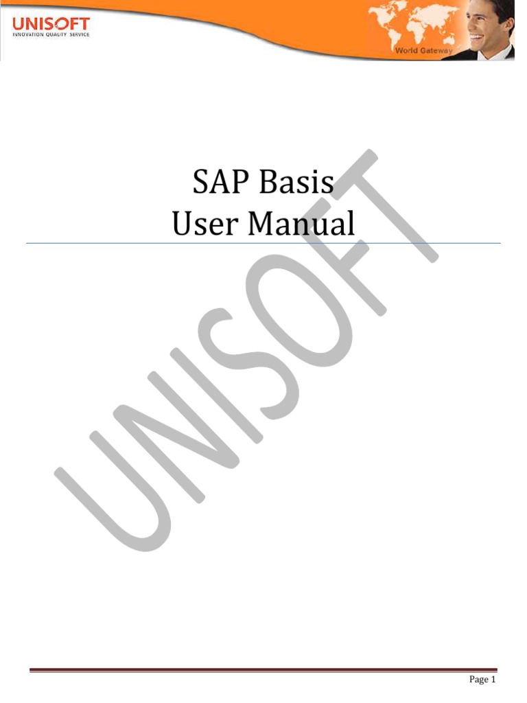 SAP Basis User Manual Overview | PDF | Databases | Server (Computing)