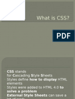 What is CSS