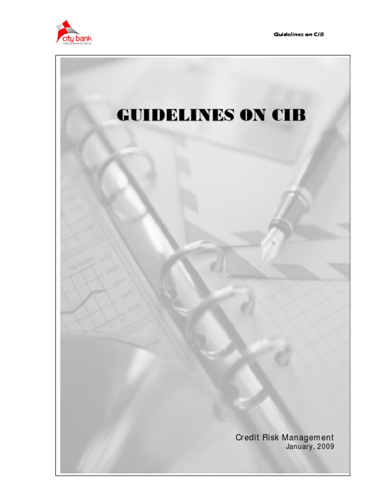 CIB Guidelines for Bangladesh Bank | PDF | Credit (Finance) | Banks