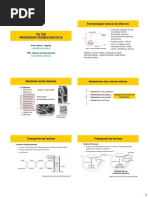 1ª Aula - Culturas Lácticas - 2014
