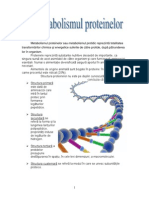 Metabolismul Proteinelor