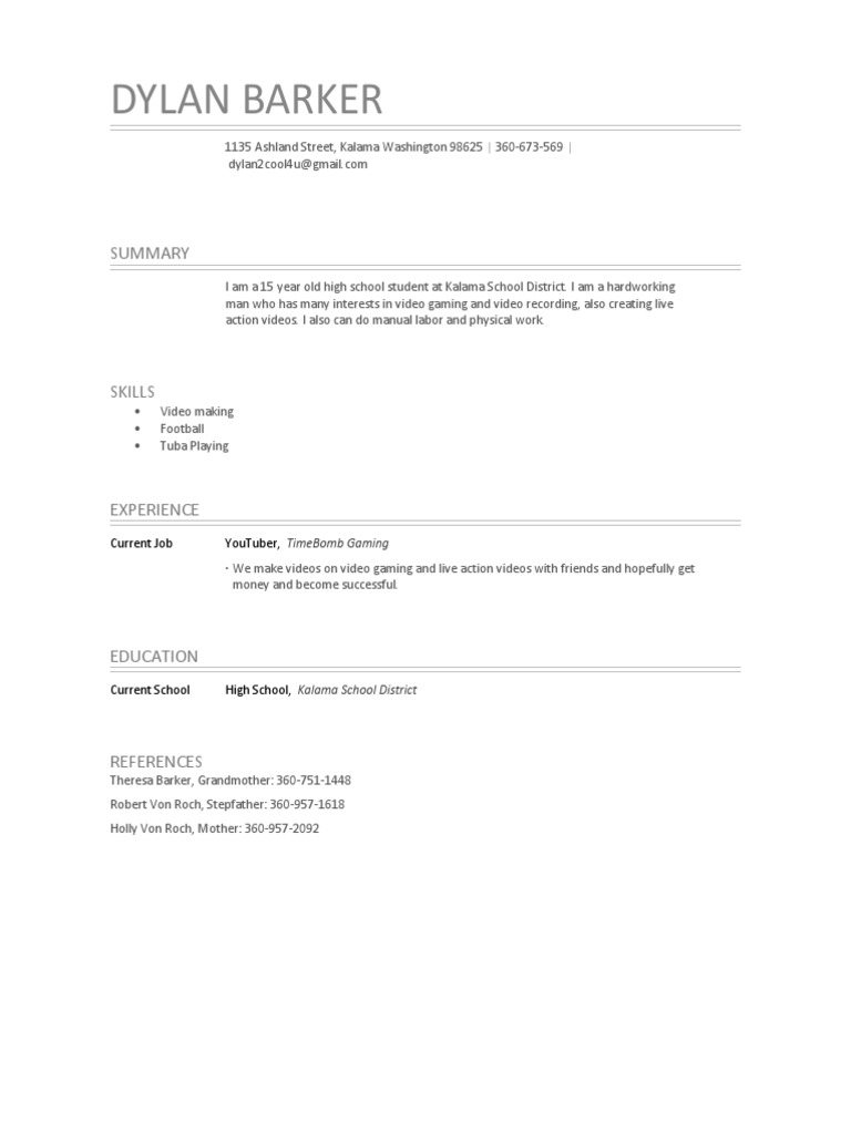 Teen YouTuber & Video Creator Resume | PDF | Lifestyle