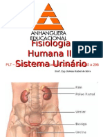 9 Fisiologia Renal