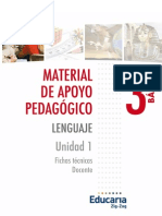 Papelucho Historiador Pauta PDF