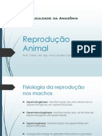 Reprodução III M.pdf