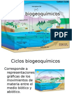 Ciclos Biogeoquímicos 2015