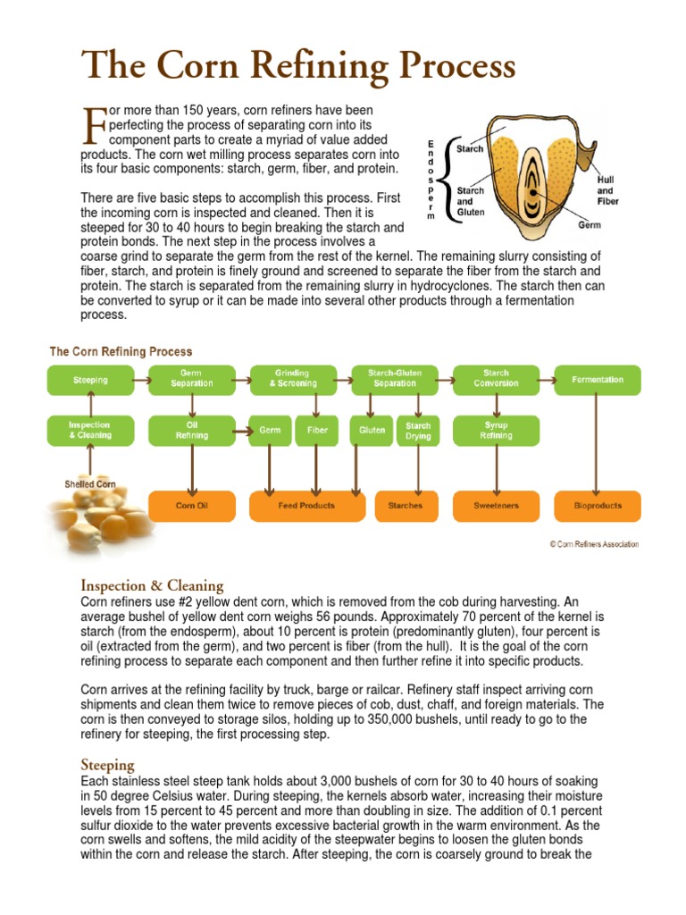 Corn Refining Process | PDF | Food Ingredients | Chemistry