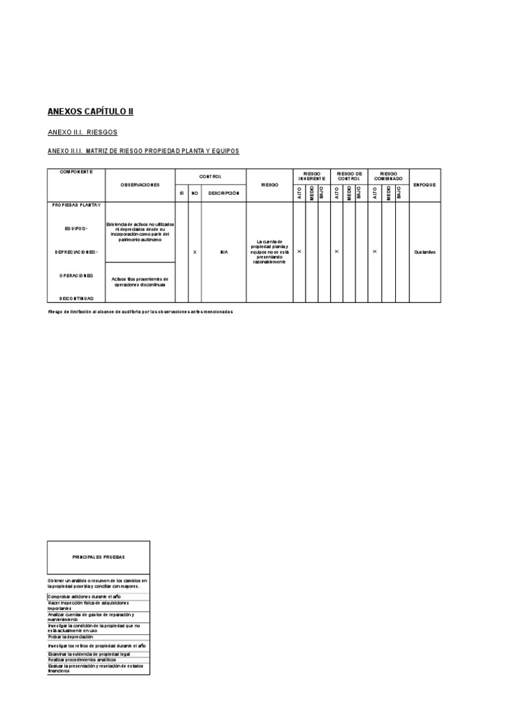 Matriz de Riesgos en Auditoría | PDF | Contabilidad | Inventario