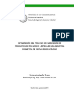 Tesis Productos de Limpieza PDF