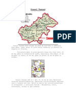 Prezentare Tasnad PDF