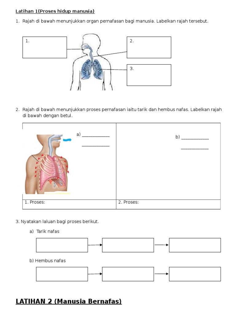 Latihan 1 Proses Hidup Manusia  