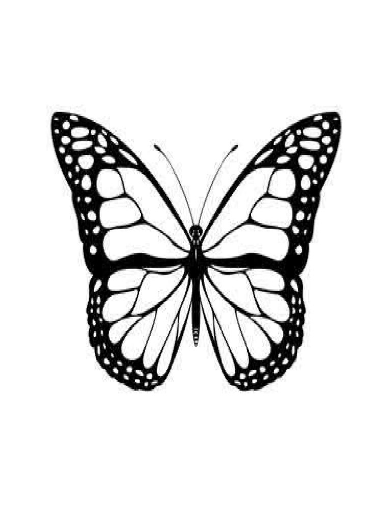 download-your-free-butterfly-stencil-here-save-time-and-5883-butterfly-stencil-and-template