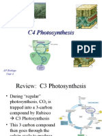 C4 Photosynthesis