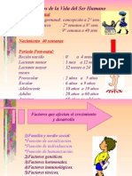 Ciclo Vital Individual de la vida