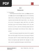 Download Uji Sensitivitas Antibiotika Lelano by lelanocho SN260595379 doc pdf