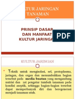 Konsep Dasar Kultur Jaringan