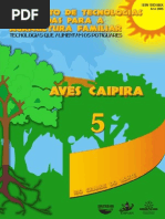 Circuito2008 Ave Caipira