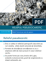 14 08 02 225 Relief Pe Sare Si Gips Pseudocarstic PDF