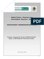 1 Modelo Técnico Financiero Justificación y Organización de Proyectos