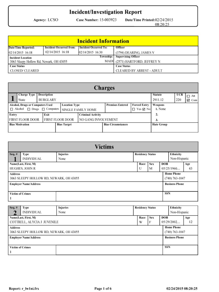 Lcso inmate search image