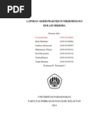 Download isolasimikrobabyTaufiqHidayatSN260623686 doc pdf