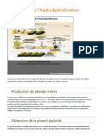 L'haplodiploïdisation PDF