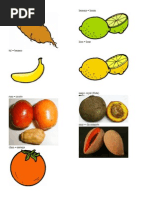 Partes Del Cuerpo en Qeqchi | PDF