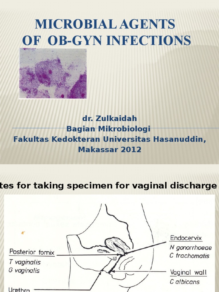 Microbial Agents of Ob-Gyn Infections | PDF | Candidiasis | Candida ...