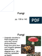 10 1 Fungi