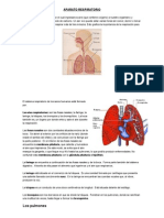 APARATO RESPIRATORIO2.docx