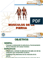 Musculos de La Pierna