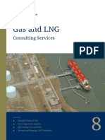 Gas & LNG