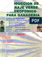 Monografia Del Forraje Verde Hidroponico