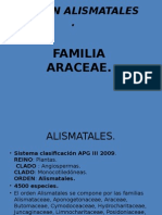 Orden Alismatales